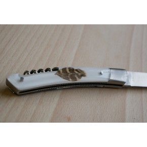 couteau 1 plume